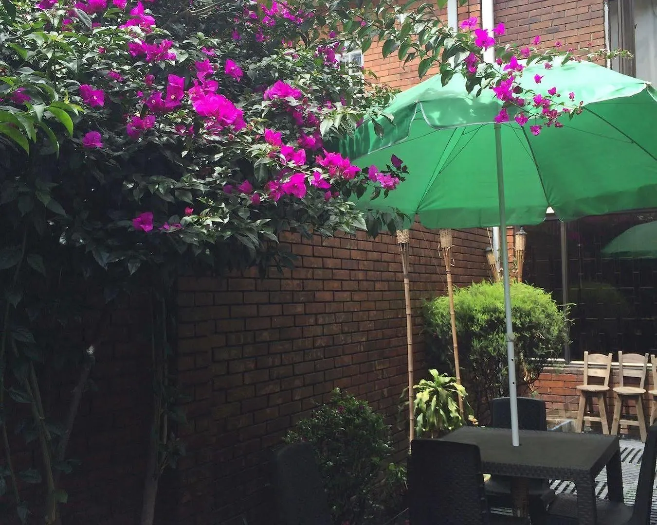 Violeta Park Hostel Bogotá