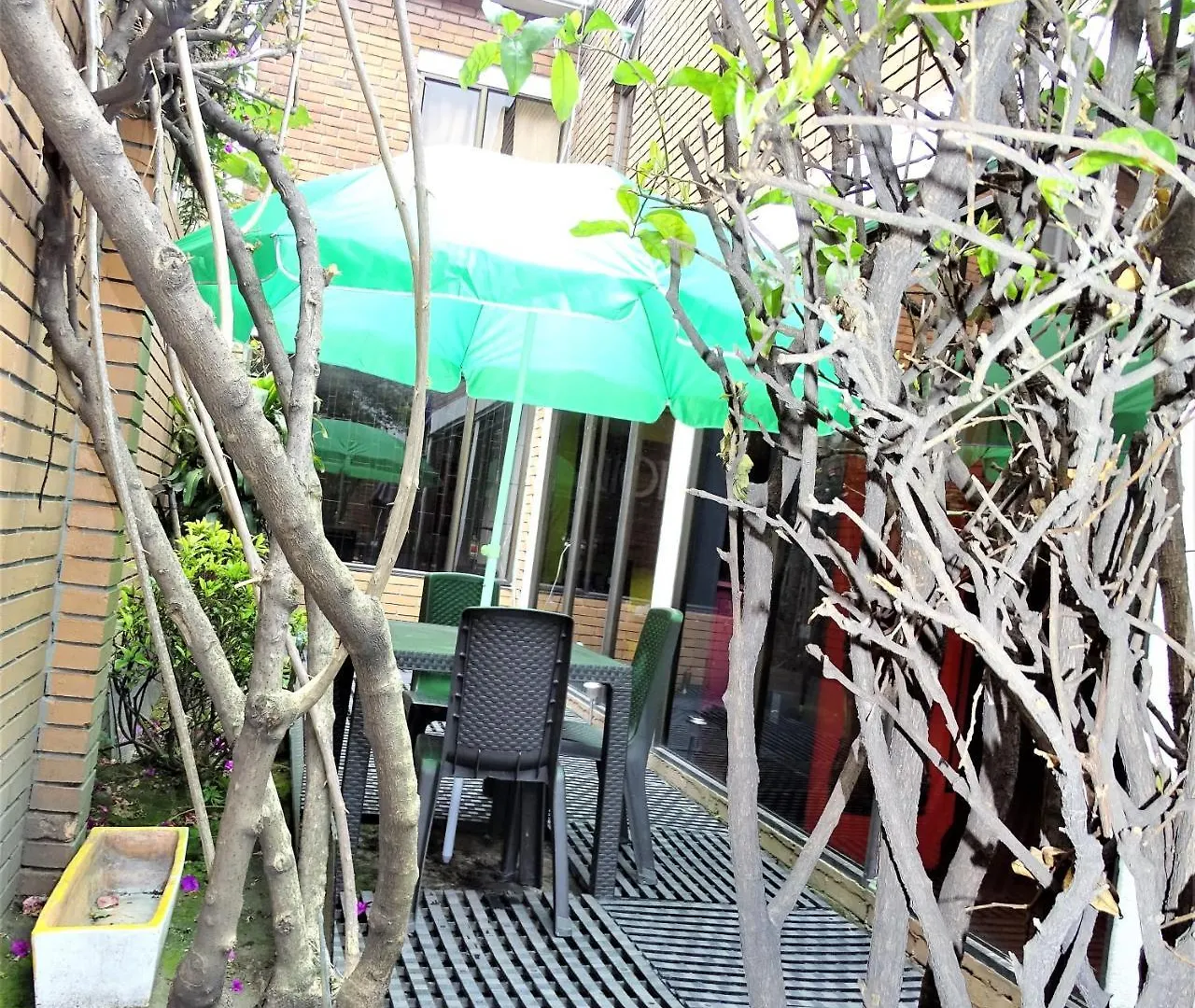 Violeta Park Hostel Μπογκοτά