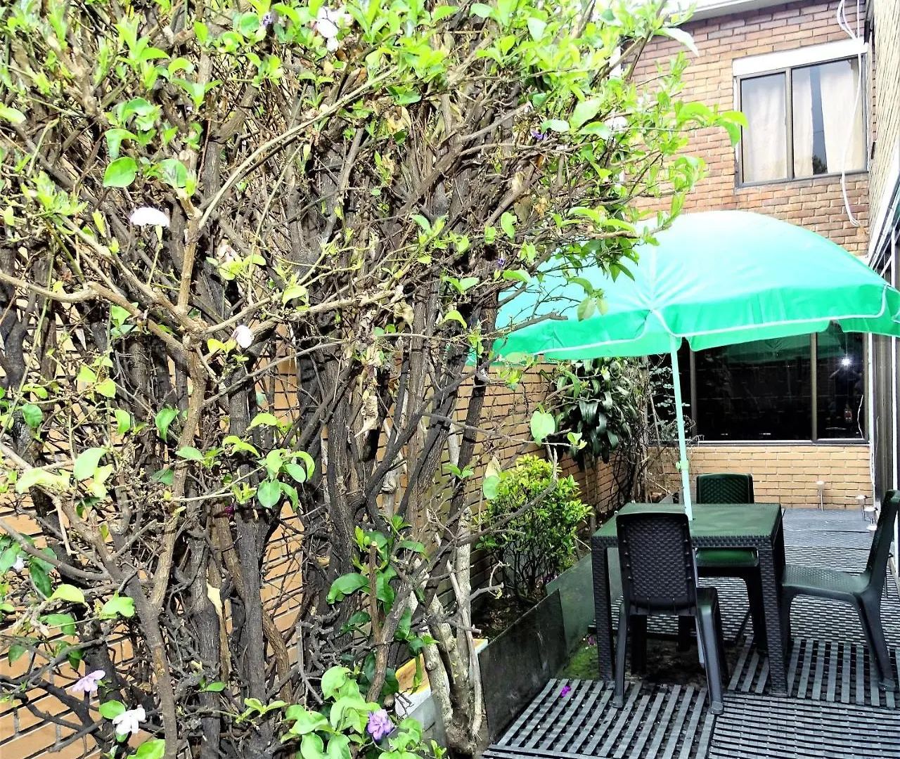 Violeta Park Hostel Μπογκοτά