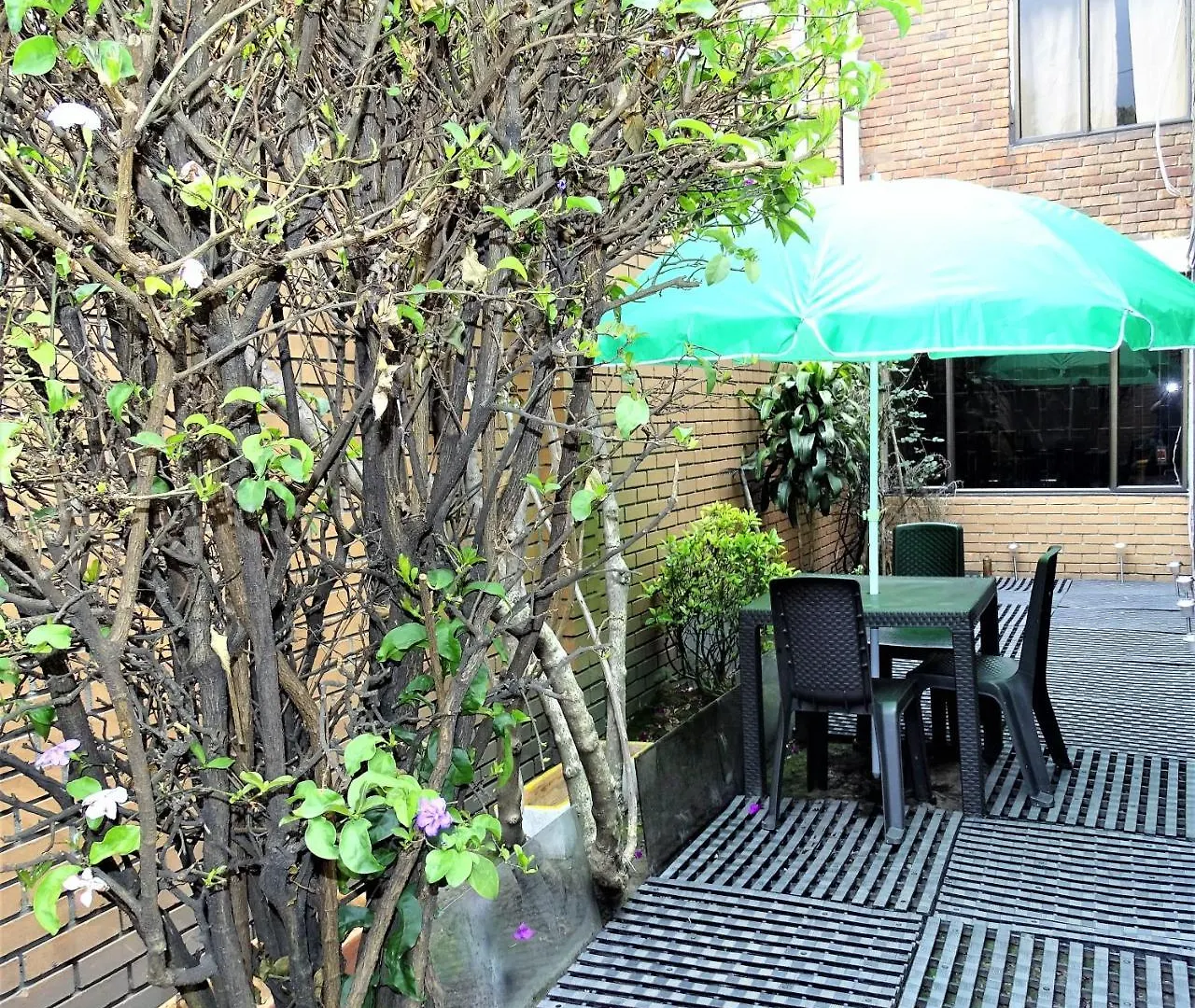 Violeta Park Hostel Μπογκοτά