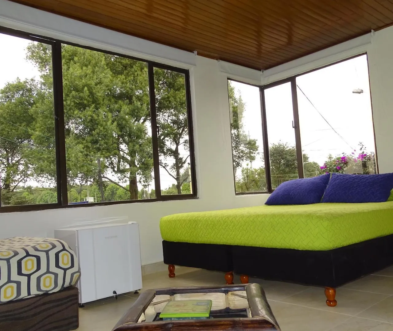 Violeta Park Hostel Μπογκοτά Κολομβία